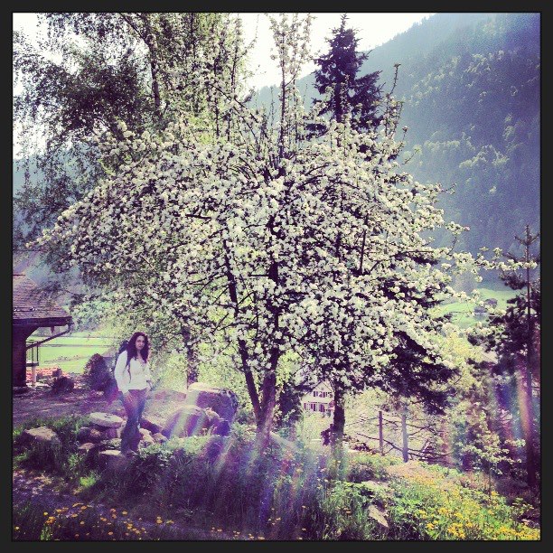 941994_10201234862739188_523143865_n